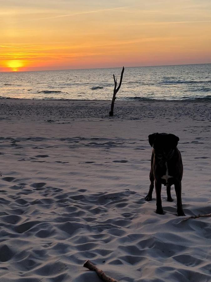 Golden Sand Łukęcin Dış mekan fotoğraf